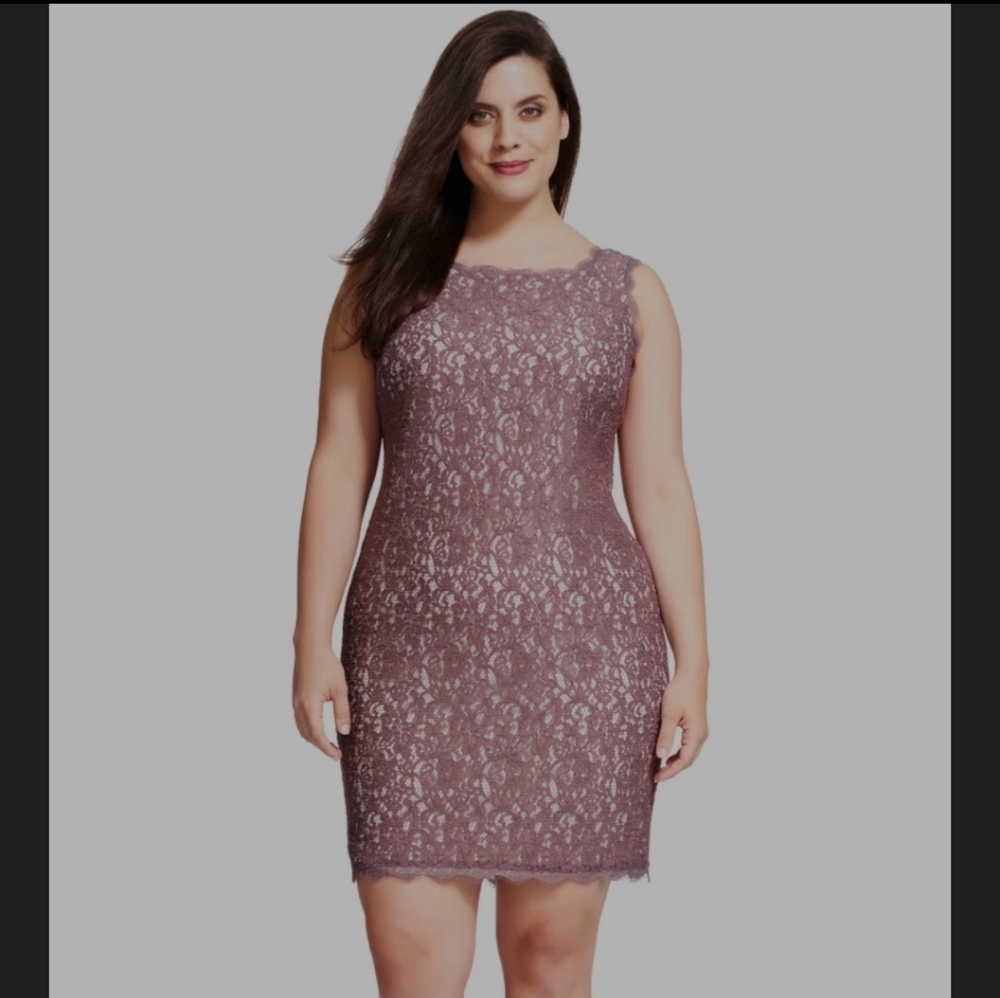 Adrianna Papell Blue Lace Floral Bateau Neck Sheath Dress Sz 6